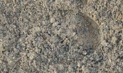 Piste TROTTEUR mélange sable plastique.JPG